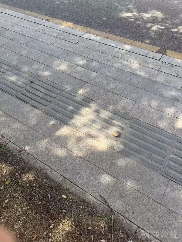 盲道问题反馈图