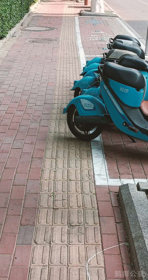 盲道问题反馈图