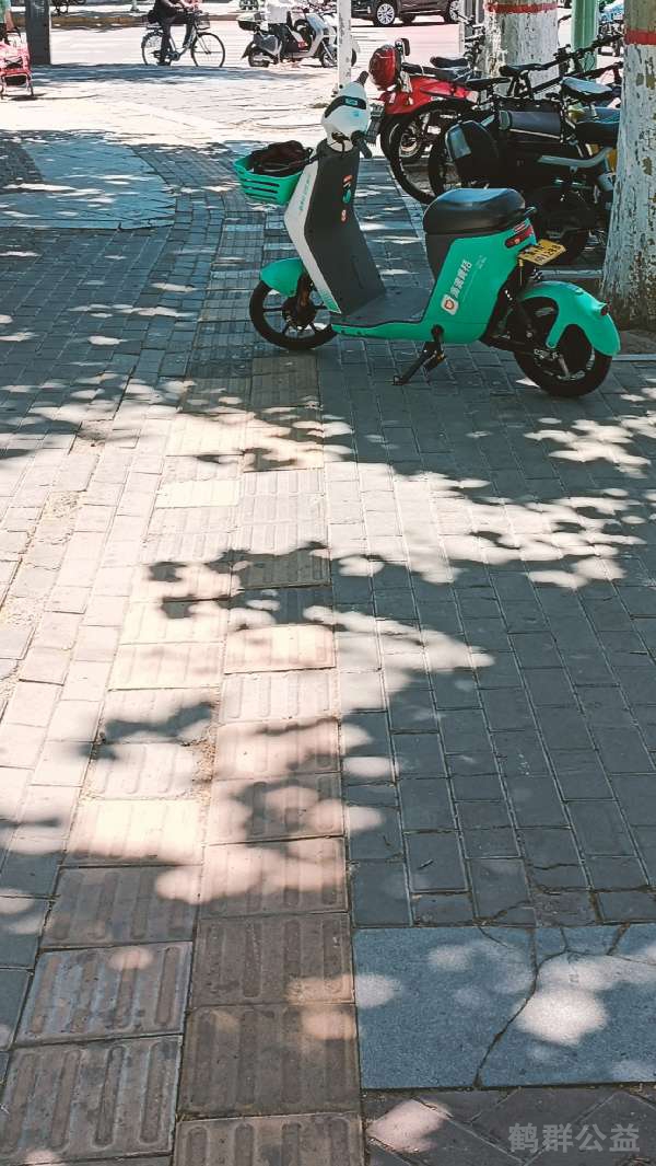 盲道问题反馈图