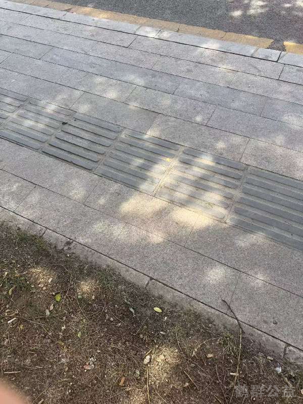 盲道问题处理后图片