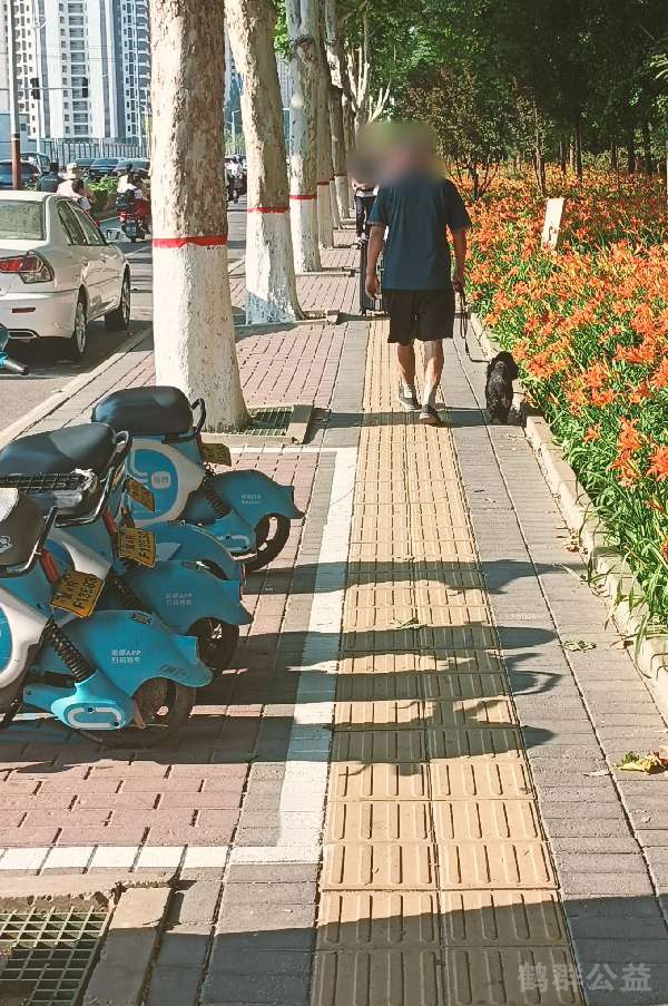 盲道问题处理后图片
