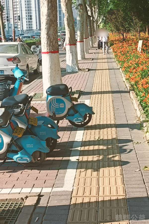 盲道问题反馈图