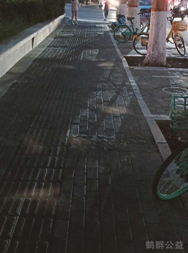 盲道问题处理后图片