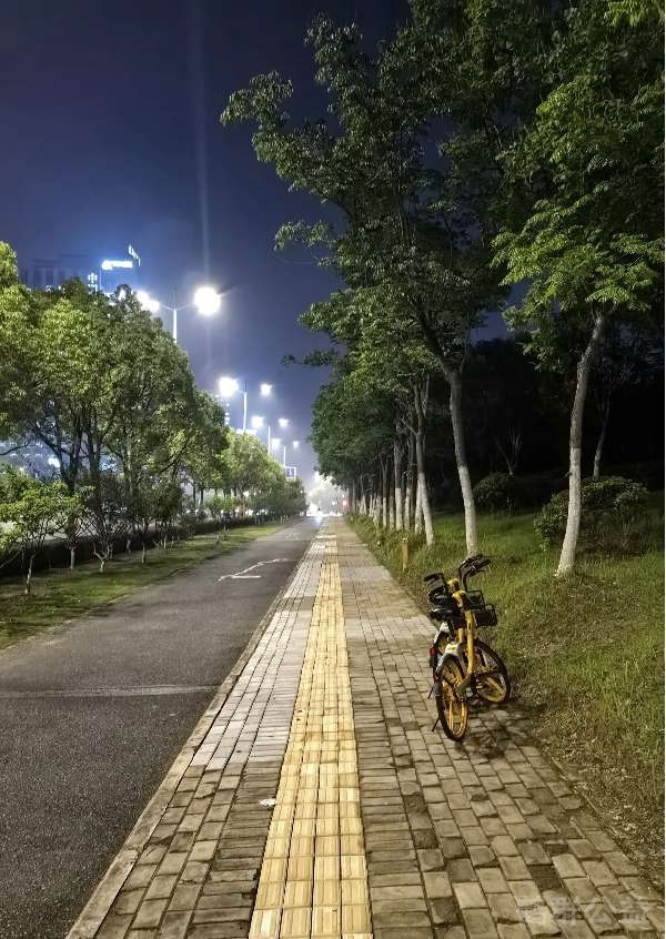 盲道问题处理后图片