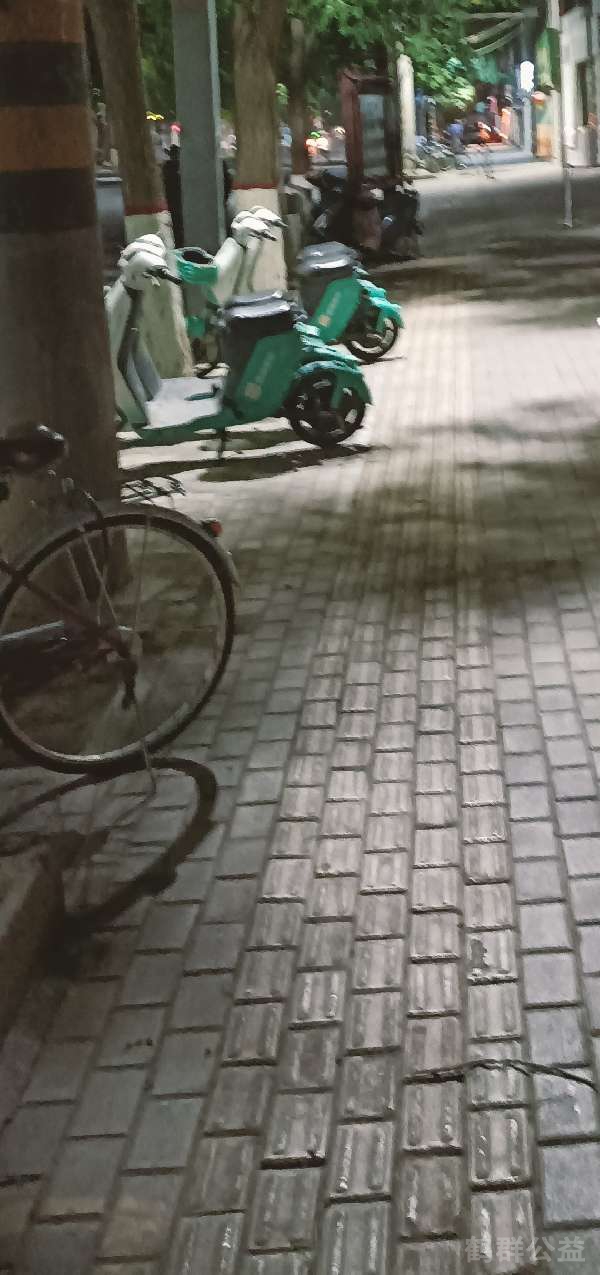 盲道问题处理后图片