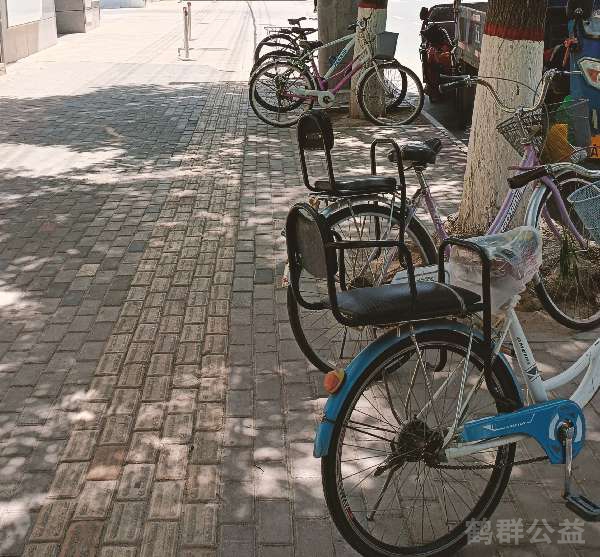 盲道问题处理后图片