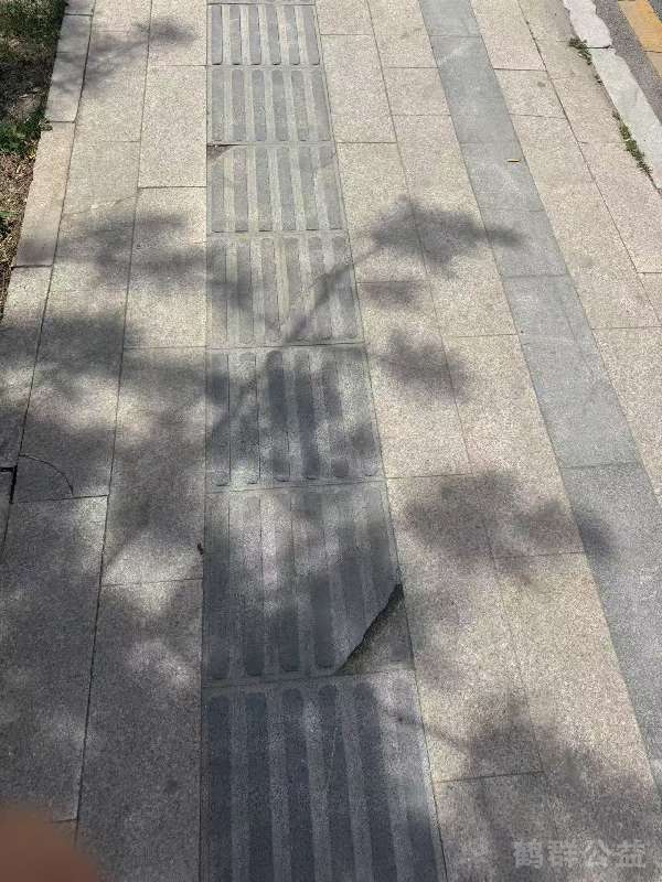 盲道问题反馈图