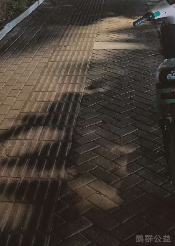 盲道问题处理后图片