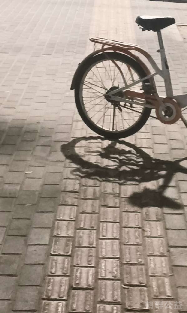 盲道问题反馈图
