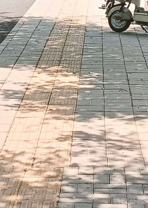 盲道问题处理后图片