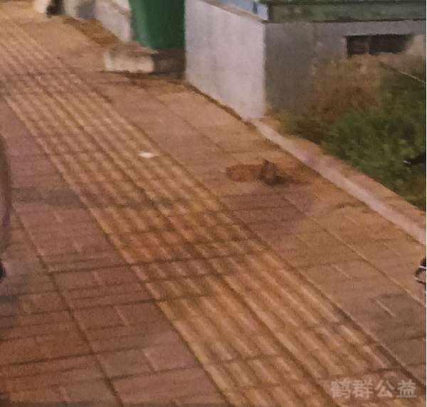 盲道问题处理后图片