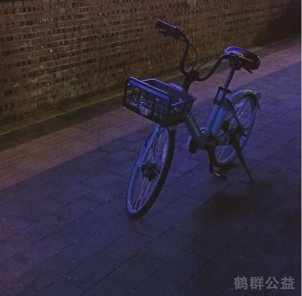 盲道问题反馈图