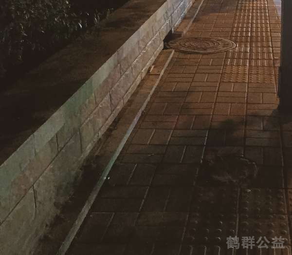 盲道问题处理后图片