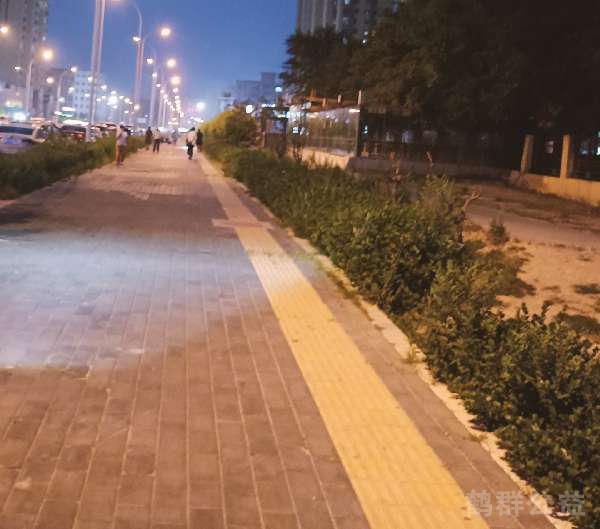 盲道问题处理后图片