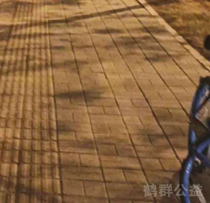 盲道问题处理后图片