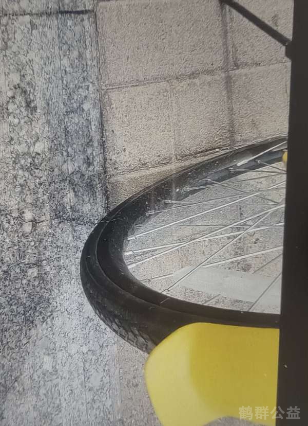 盲道问题反馈图