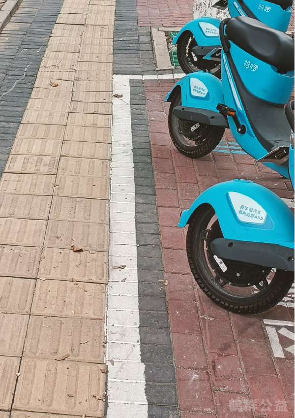 盲道问题处理后图片