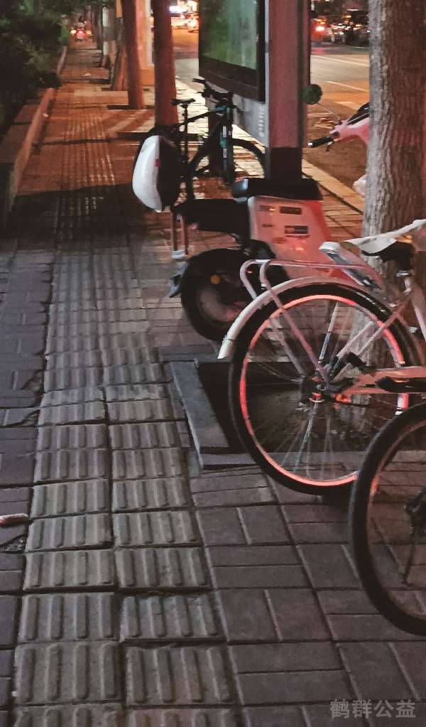 盲道问题处理后图片
