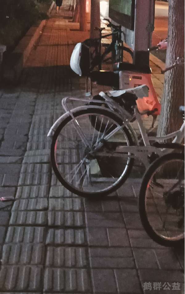 盲道问题反馈图