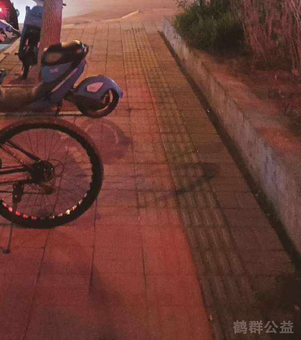 盲道问题反馈图