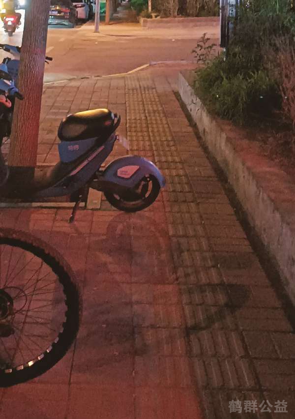 盲道问题反馈图