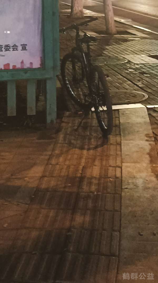 盲道问题反馈图