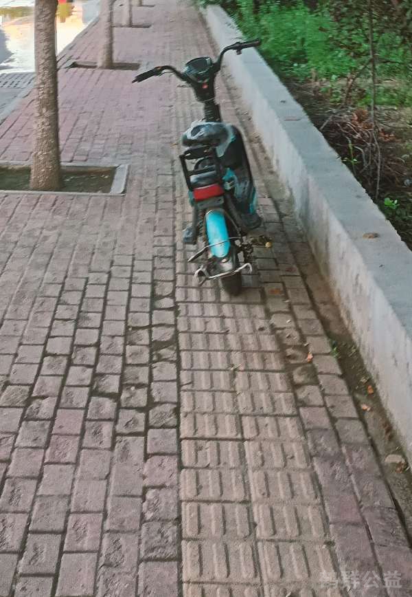 盲道问题反馈图