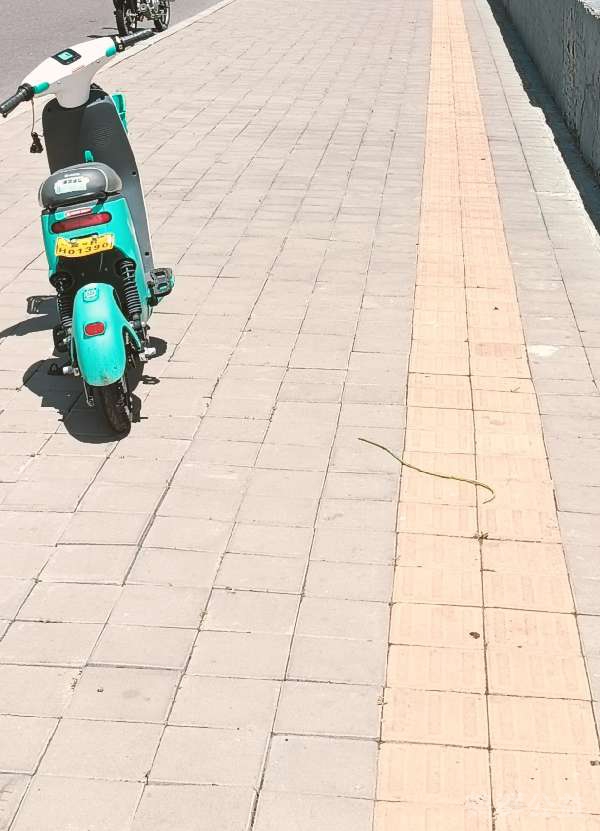 盲道问题处理后图片