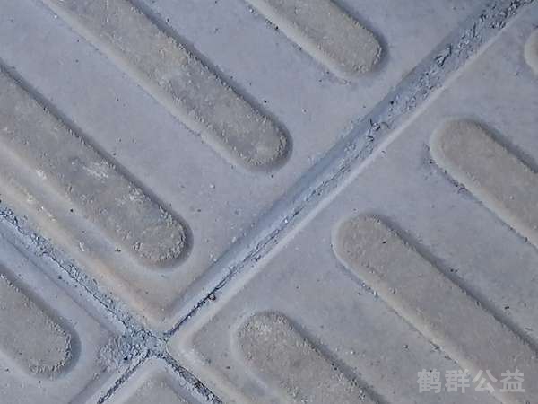 盲道问题处理后图片