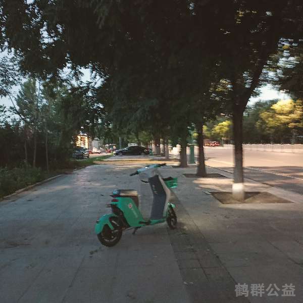 盲道问题反馈图