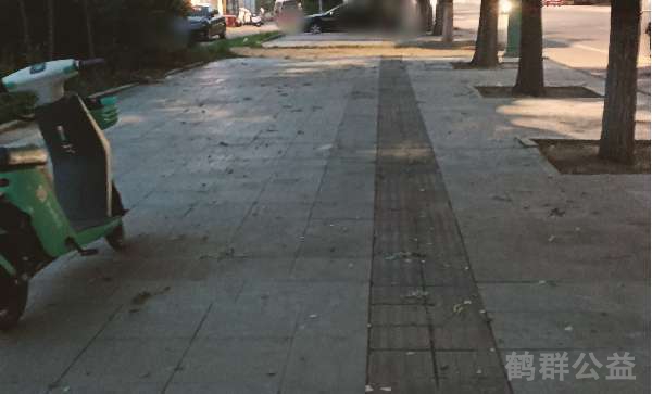 盲道问题处理后图片