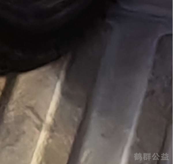 盲道问题反馈图