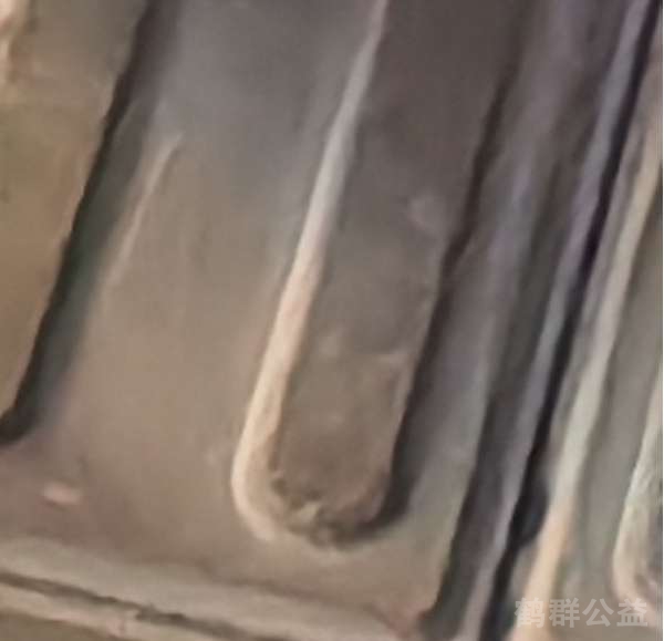 盲道问题处理后图片