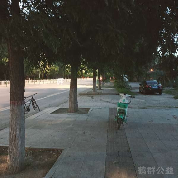 盲道问题反馈图