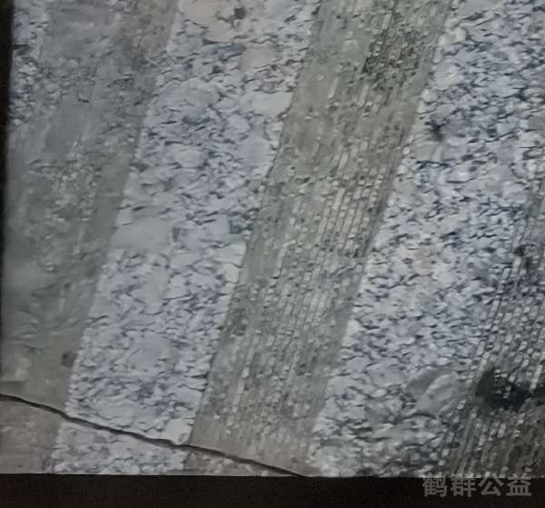 盲道问题处理后图片