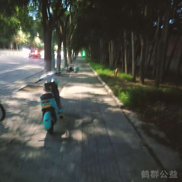 盲道问题处理后图片