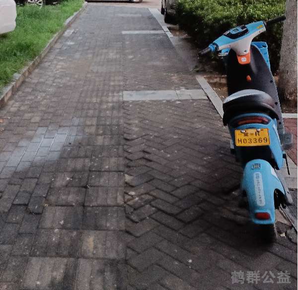 盲道问题处理后图片