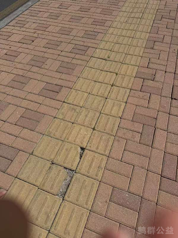 盲道问题反馈图