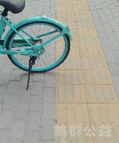 盲道问题反馈图