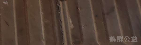 盲道问题处理后图片
