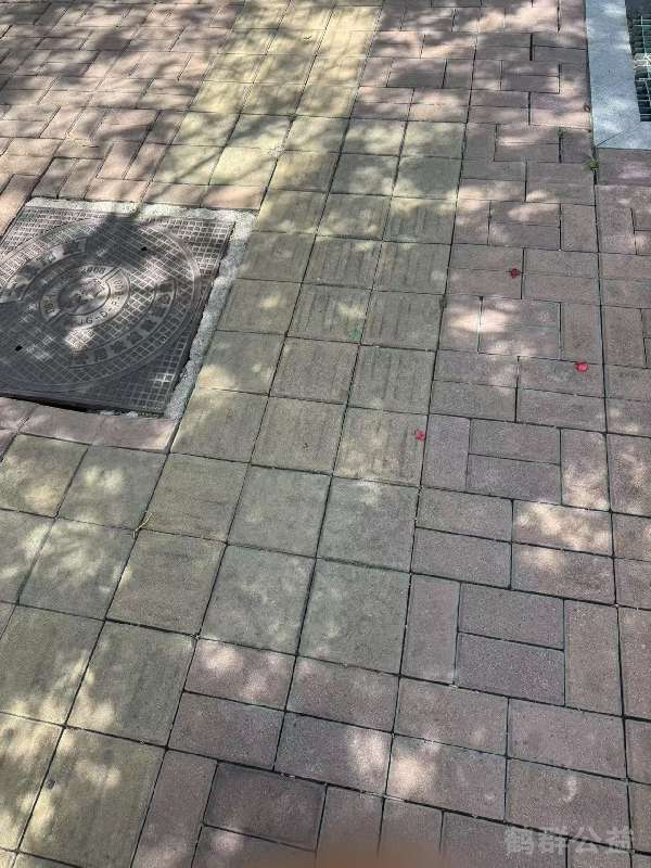 盲道问题反馈图