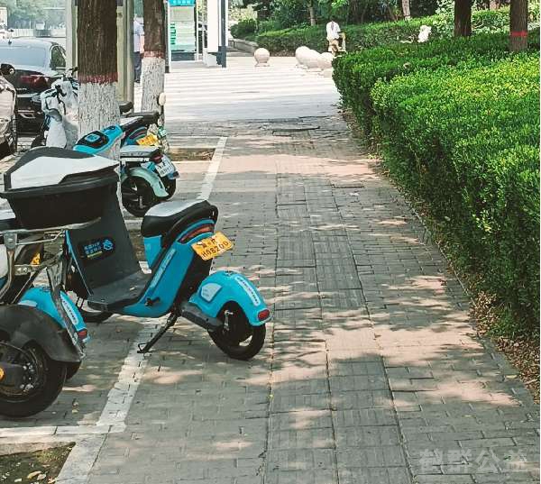 盲道问题反馈图