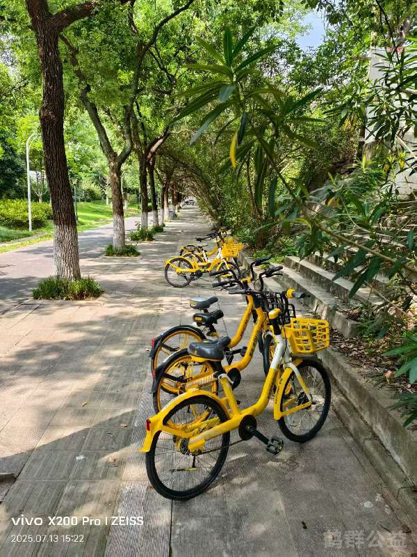 盲道问题处理后图片