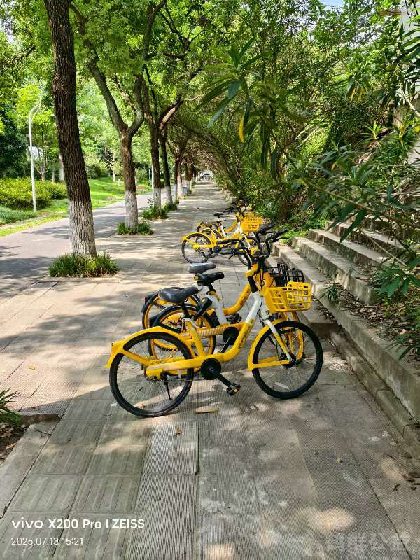 盲道问题反馈图