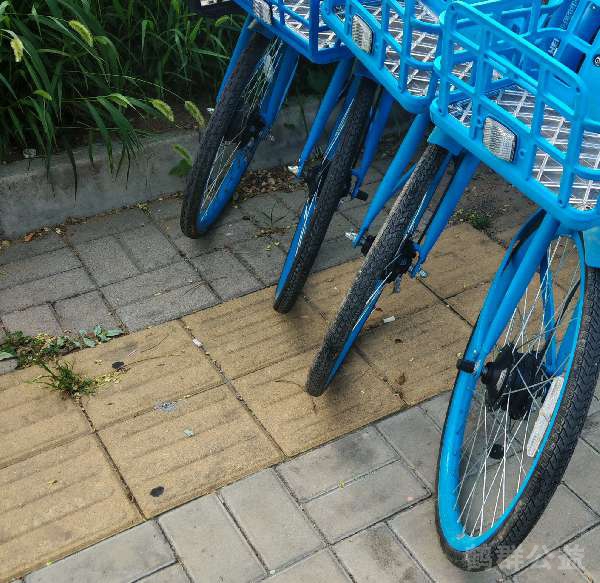 盲道问题反馈图