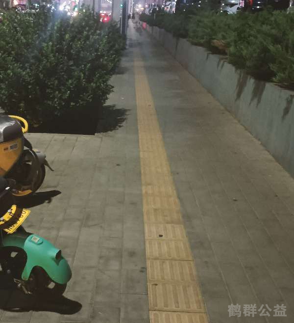 盲道问题处理后图片