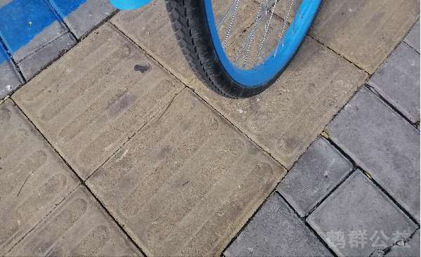 盲道问题反馈图