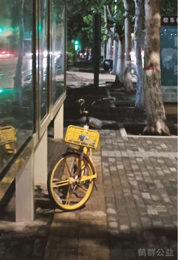 盲道问题反馈图