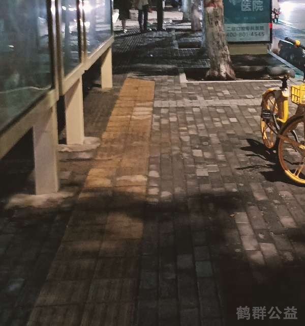 盲道问题反馈图