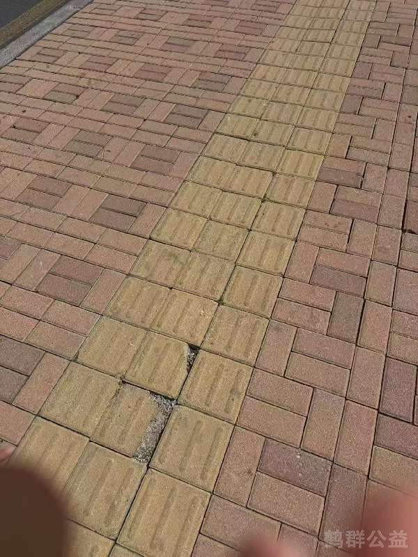 盲道问题反馈图